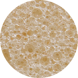 Conventional Memory Foam Cell Structure