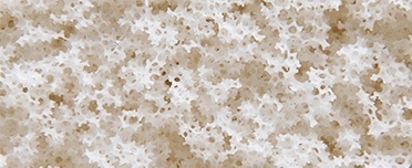 Vita Talalay Dunlop Latex